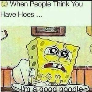 Meet your Posher, Casper